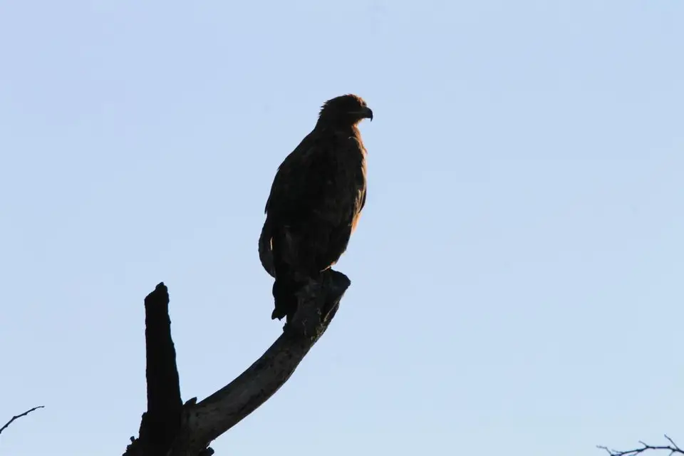 KZN18.jpg(77).jpg