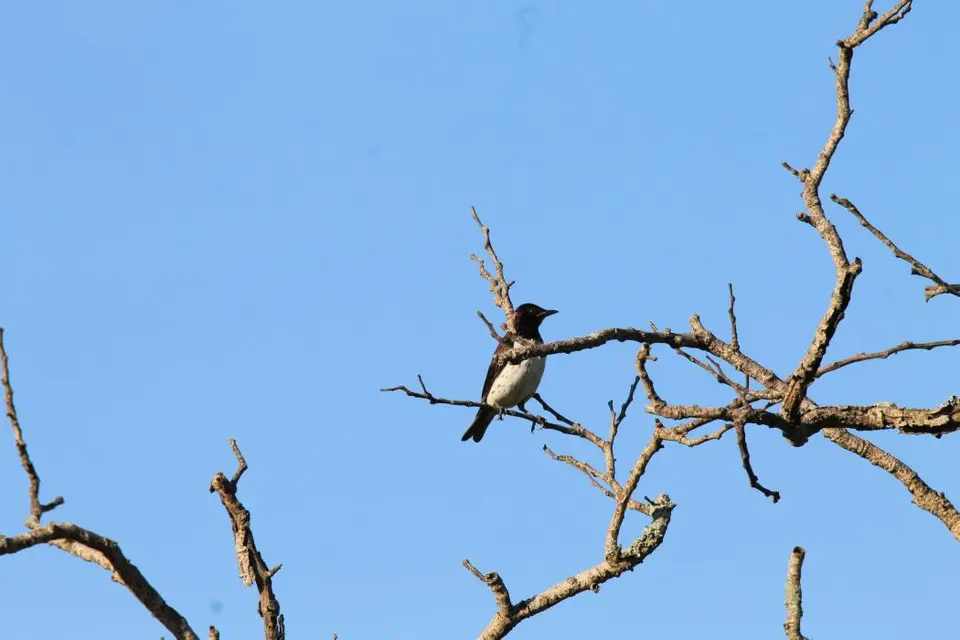 KZN18.jpg(78).jpg