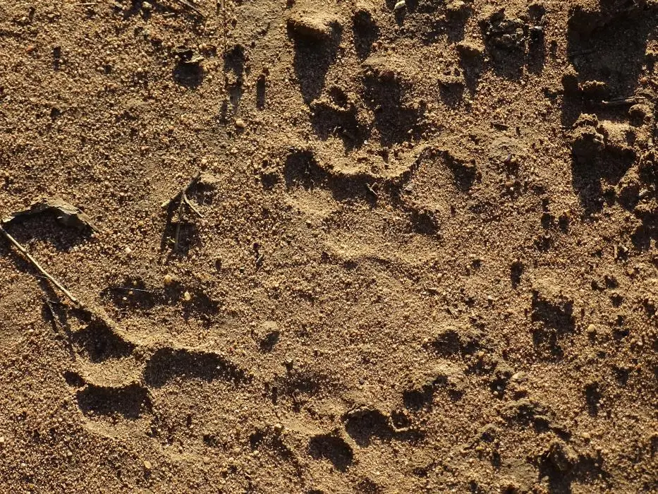 KZN19_.jpg(19).jpg