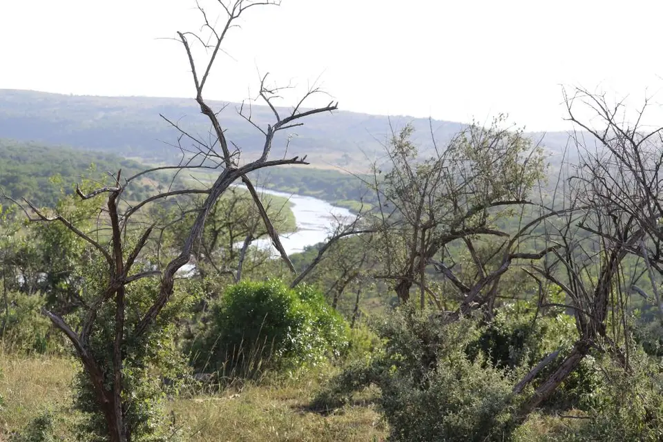 KZN19_.jpg(23).jpg