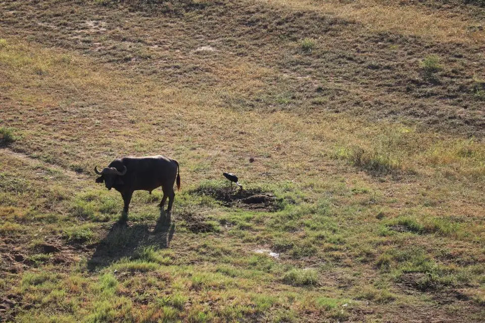 KZN19_.jpg(31).jpg