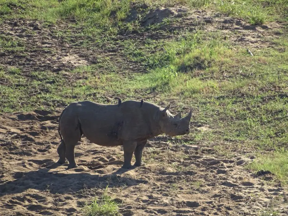 KZN19_.jpg(35).jpg
