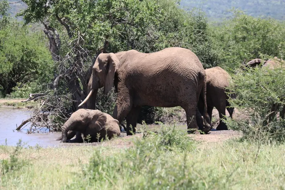 KZN19_.jpg1(40).jpg
