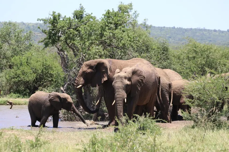 KZN19_.jpg1(44).jpg