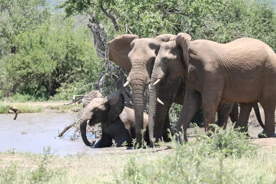 KZN19_.jpg1(46).jpg