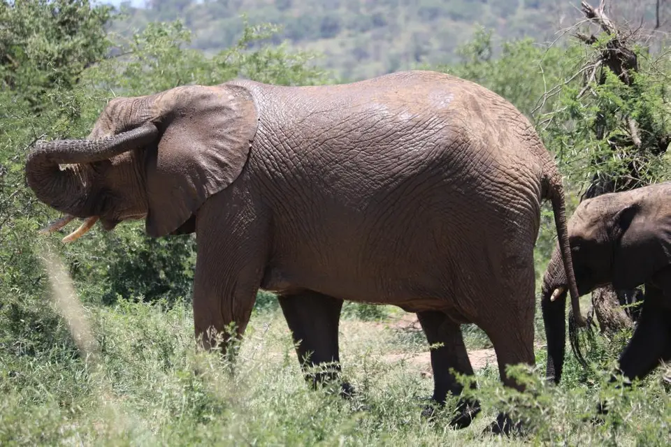 KZN19_.jpg1(49).jpg