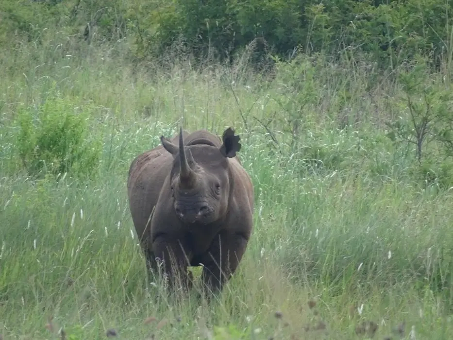 KZN26_(109).jpg