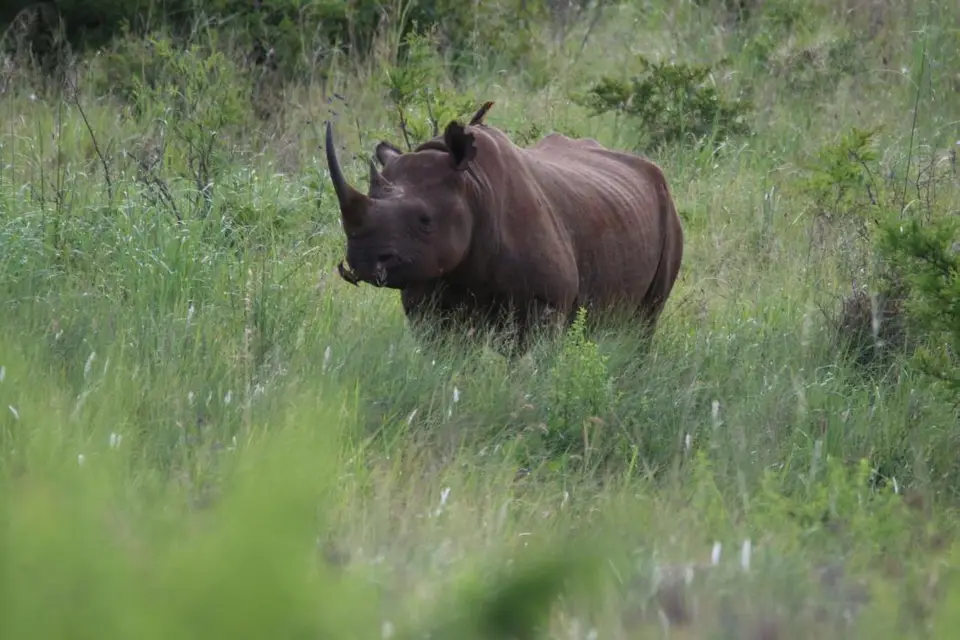 KZN26_(112).jpg