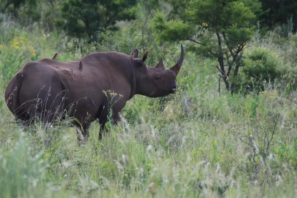 KZN26_(118).jpg