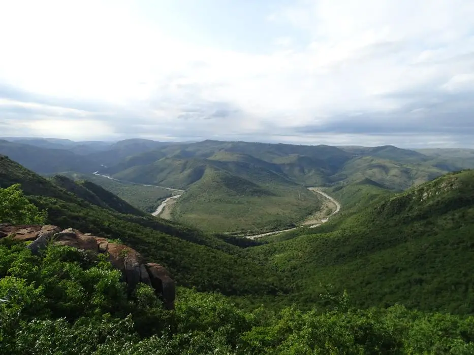 KZN26_(126).jpg