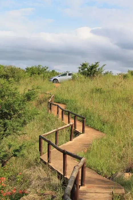 KZN26_(127).jpg