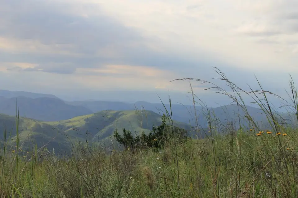 KZN26_(128).jpg