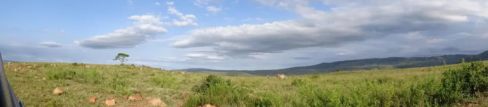 KZN26_(132).jpg