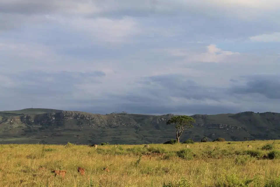 KZN26_(137).jpg