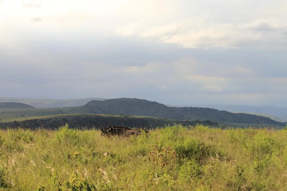 KZN26_(138).jpg