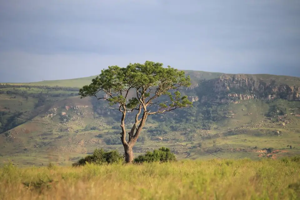 KZN26_(140).jpg
