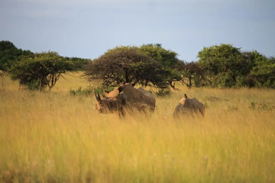 KZN26_(144).jpg