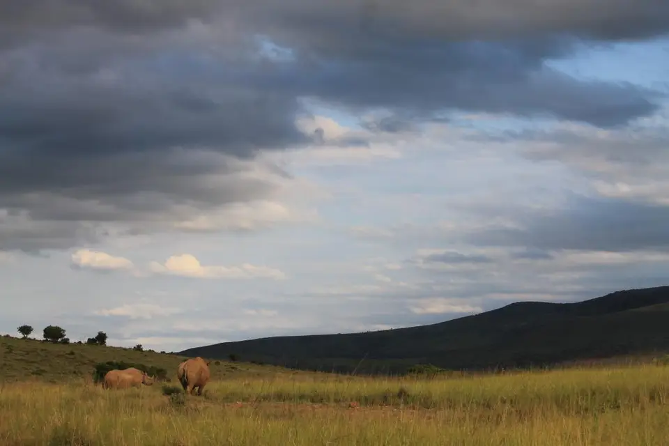 KZN26_(160).jpg