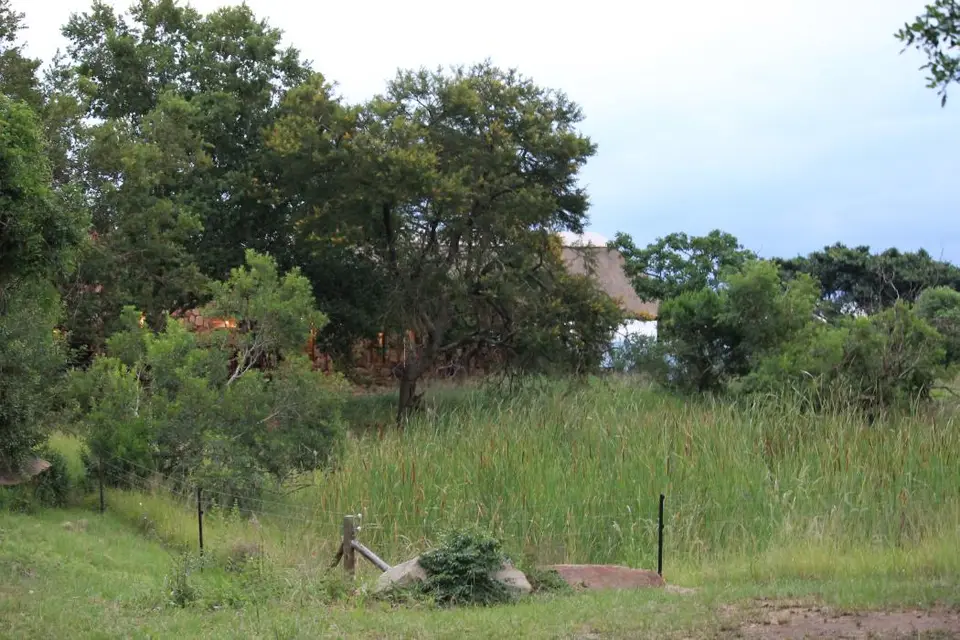 KZN26_(167).jpg