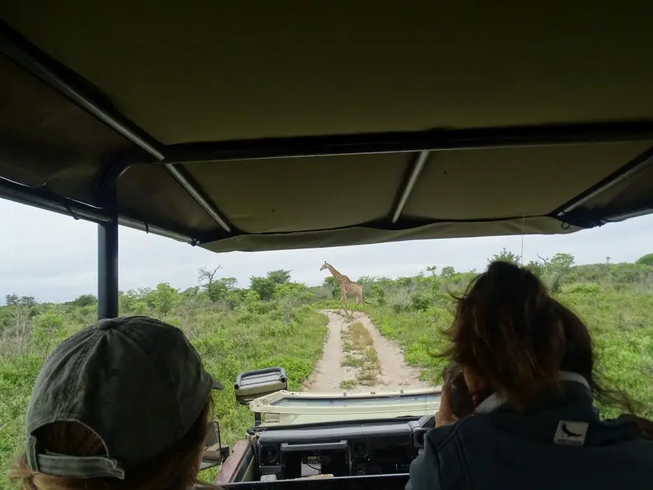 KZN26_(18).jpg