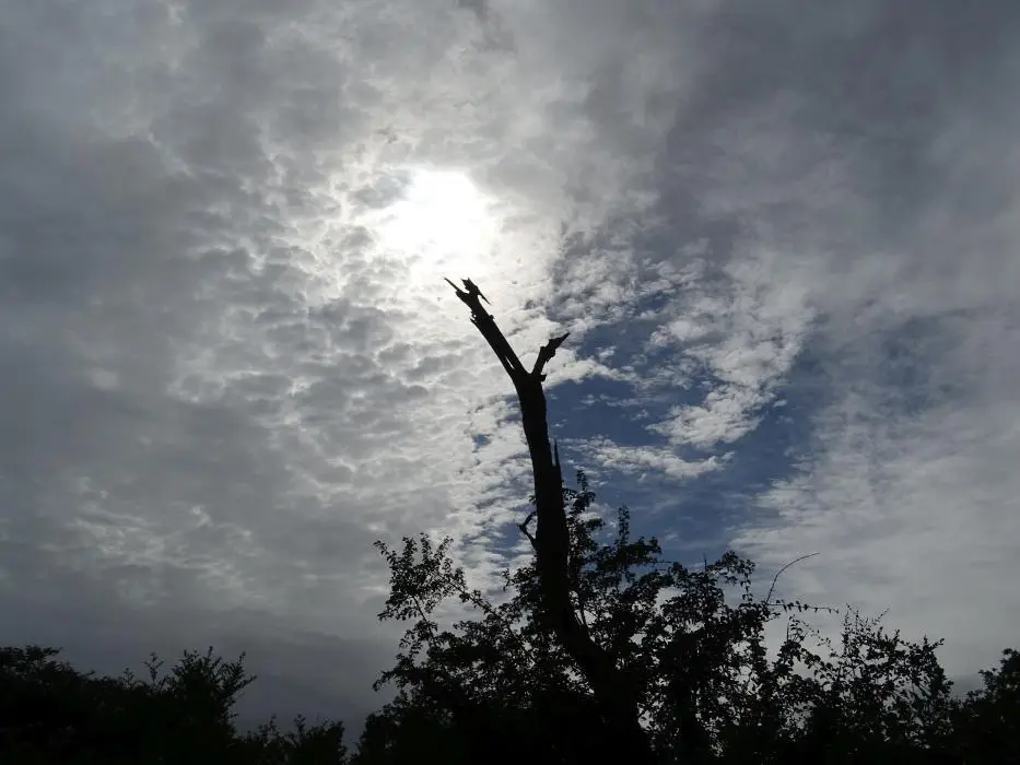 KZN26_(22).jpg