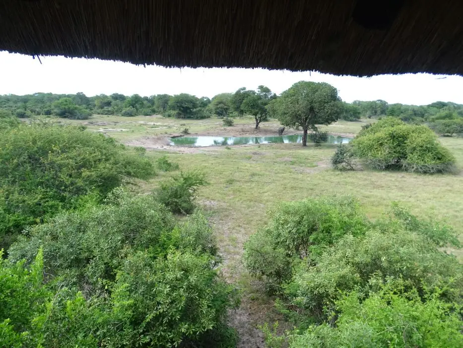 KZN26_(23).jpg