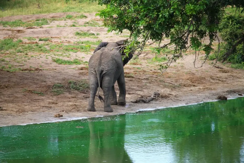 KZN26_(24).jpg