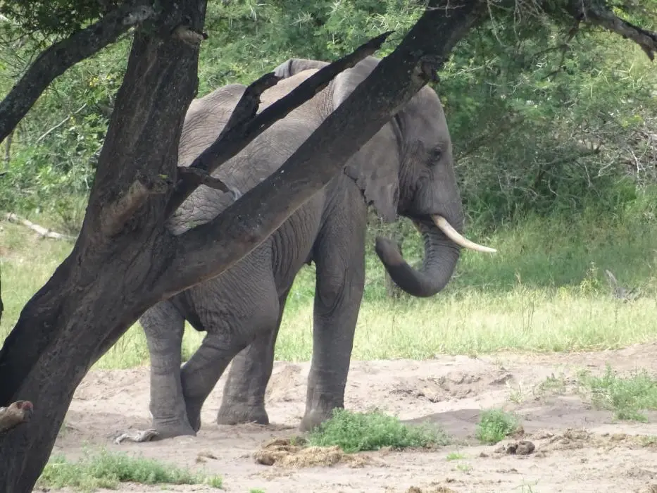 KZN26_(26).jpg