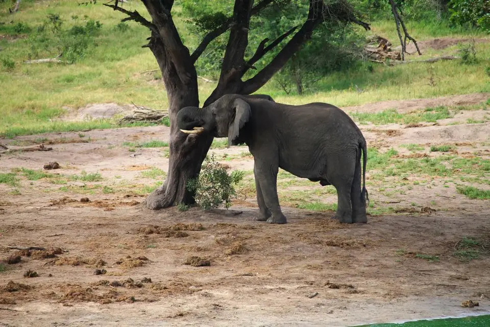 KZN26_(27).jpg
