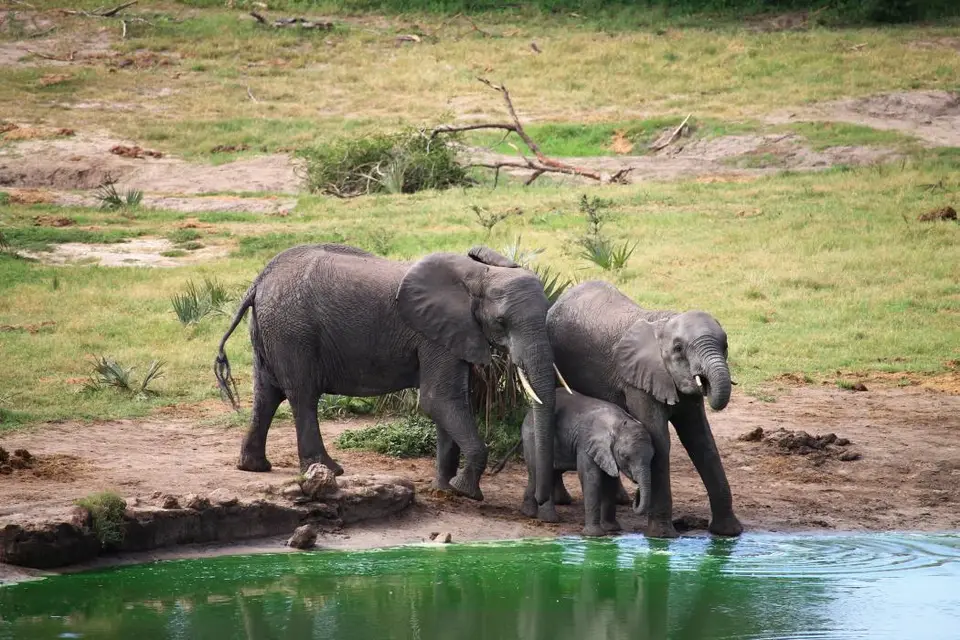 KZN26_(29).jpg