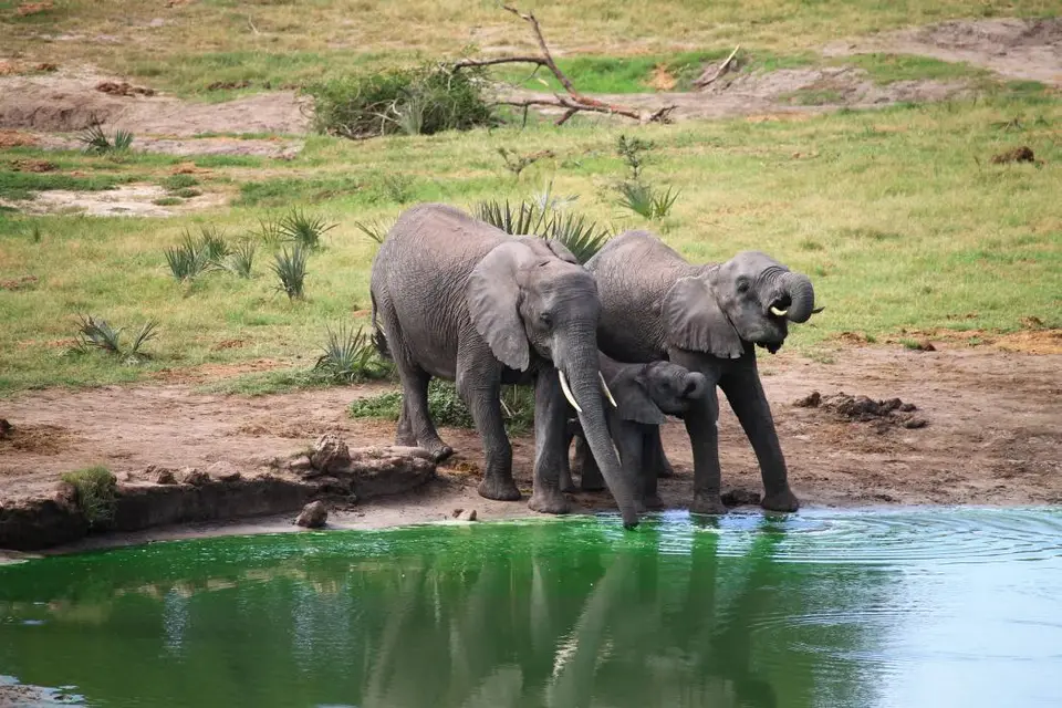 KZN26_(30).jpg