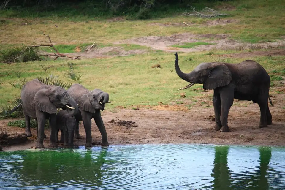 KZN26_(31).jpg