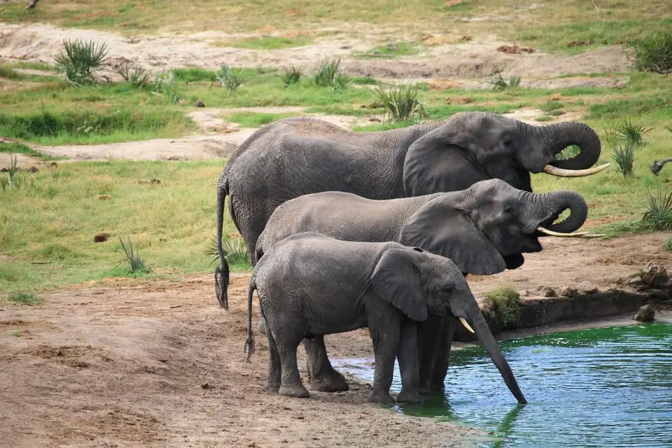KZN26_(32).jpg