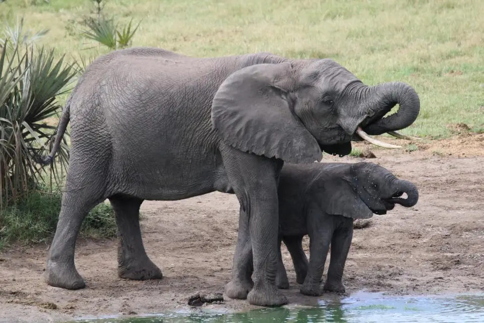 KZN26_(33).jpg