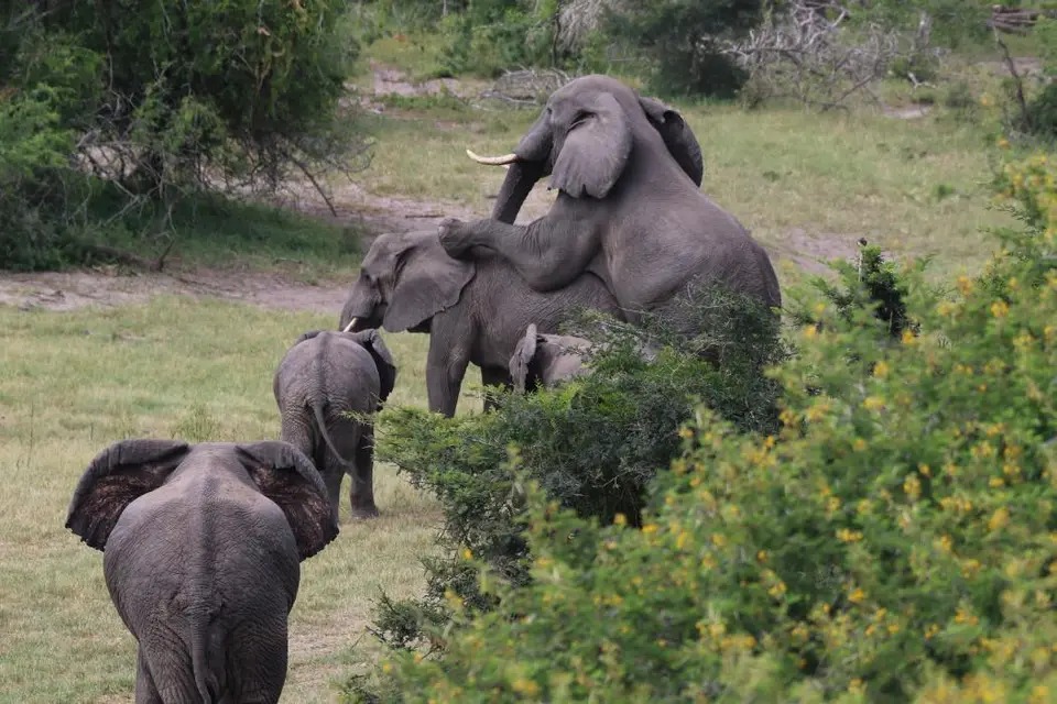 KZN26_(39).jpg