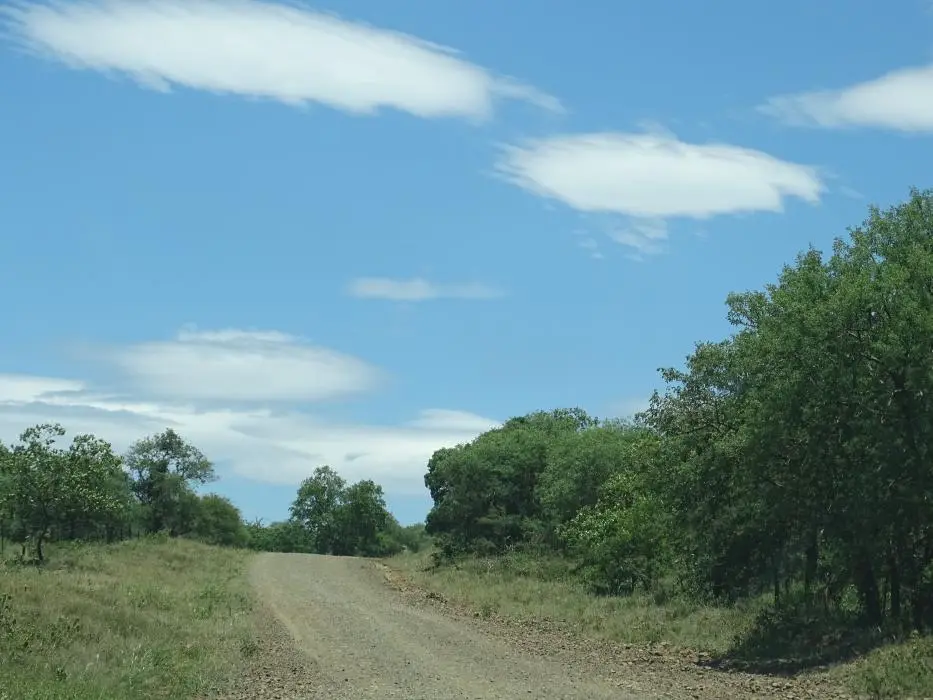 KZN26_(59).jpg