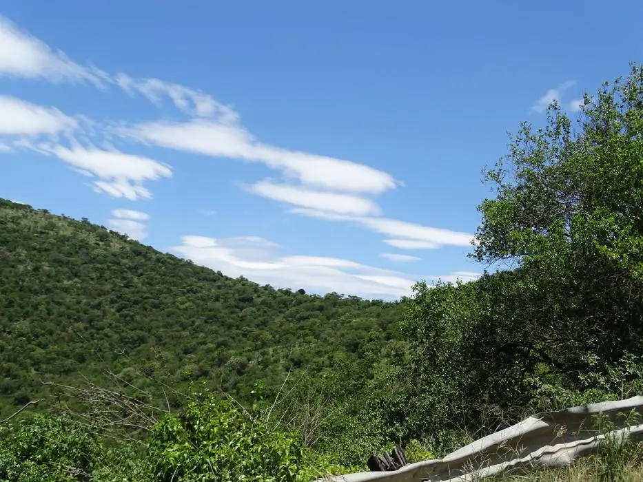 KZN26_(61).jpg