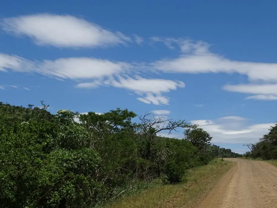 KZN26_(62).jpg