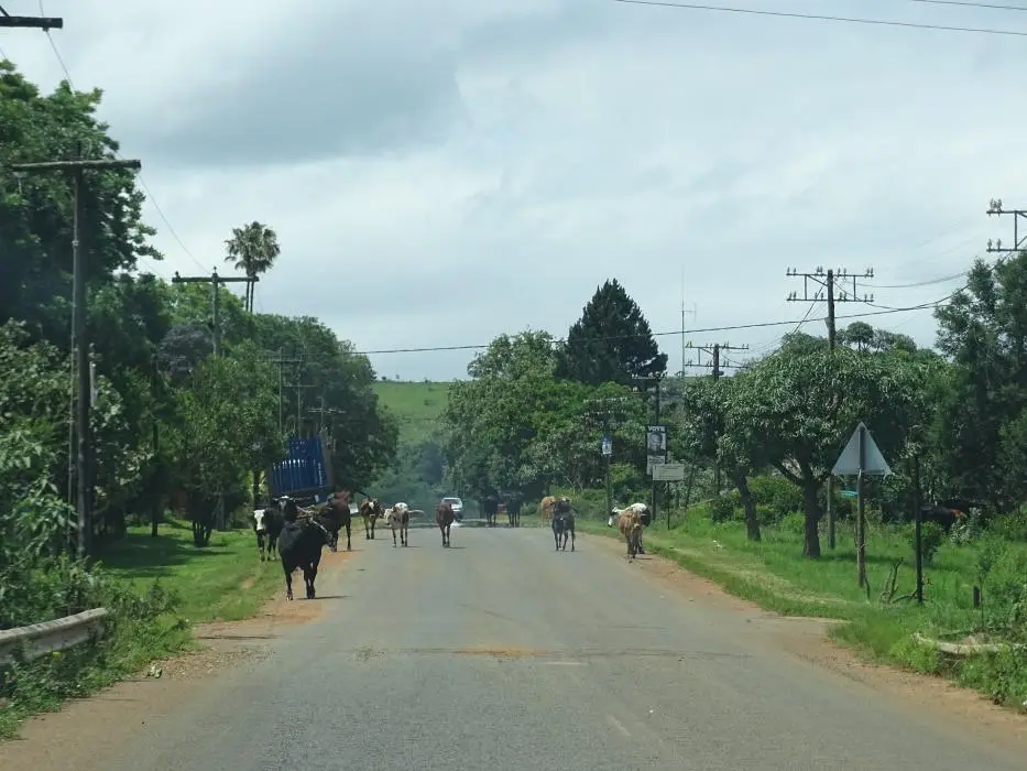 KZN26_(64).jpg