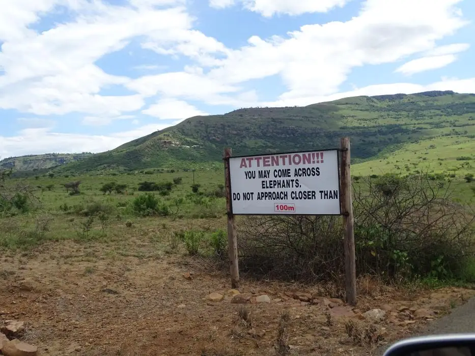 KZN26_(68).jpg