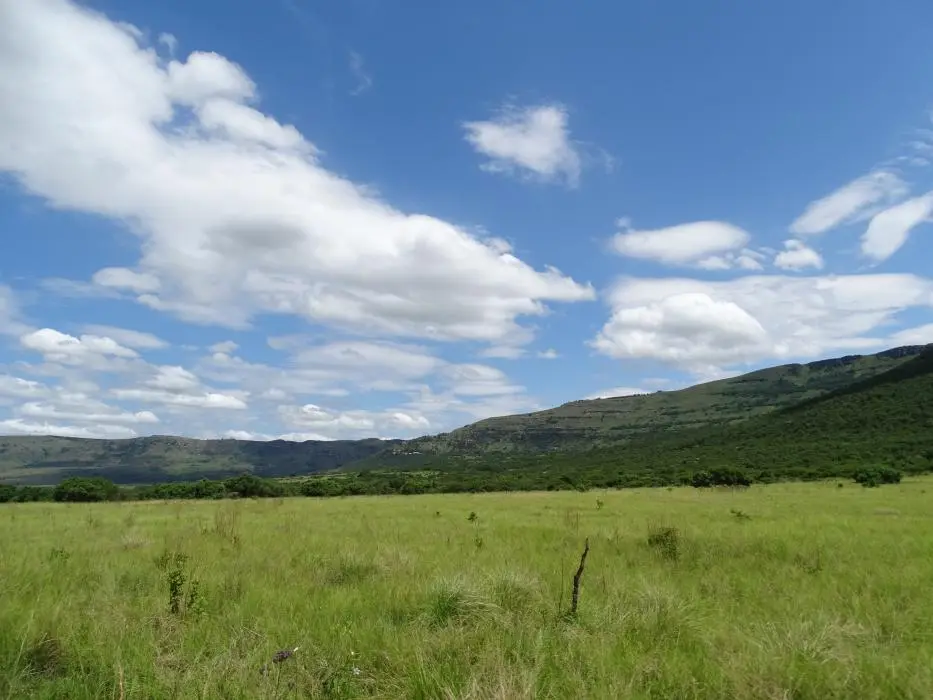 KZN26_(71).jpg