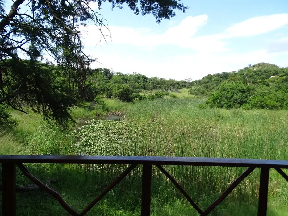 KZN26_(76).jpg