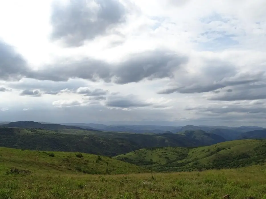 KZN26_(91).jpg