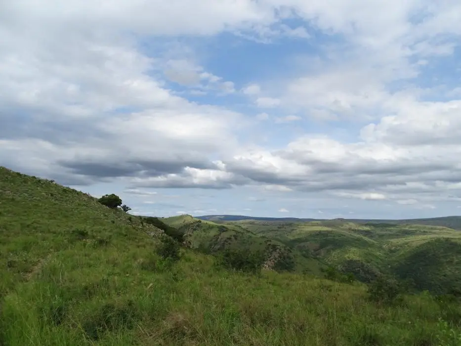 KZN26_(98).jpg