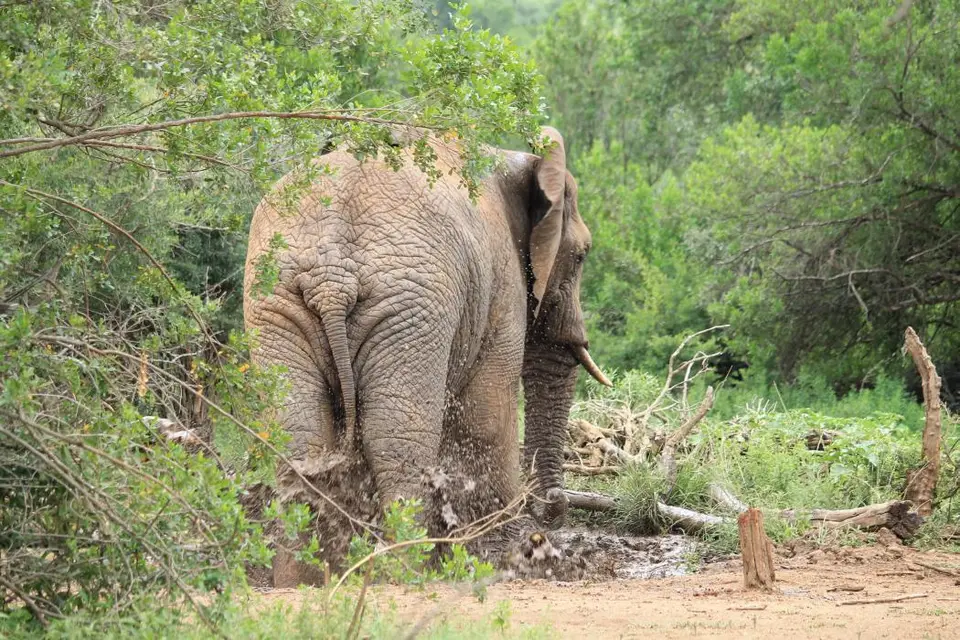 KZN27_(128).jpg