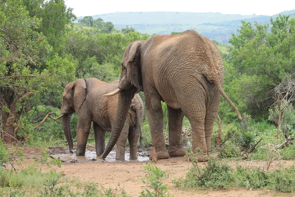 KZN27_(138).jpg