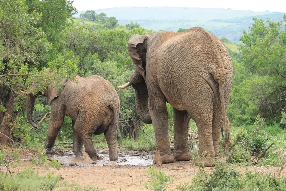 KZN27_(140).jpg