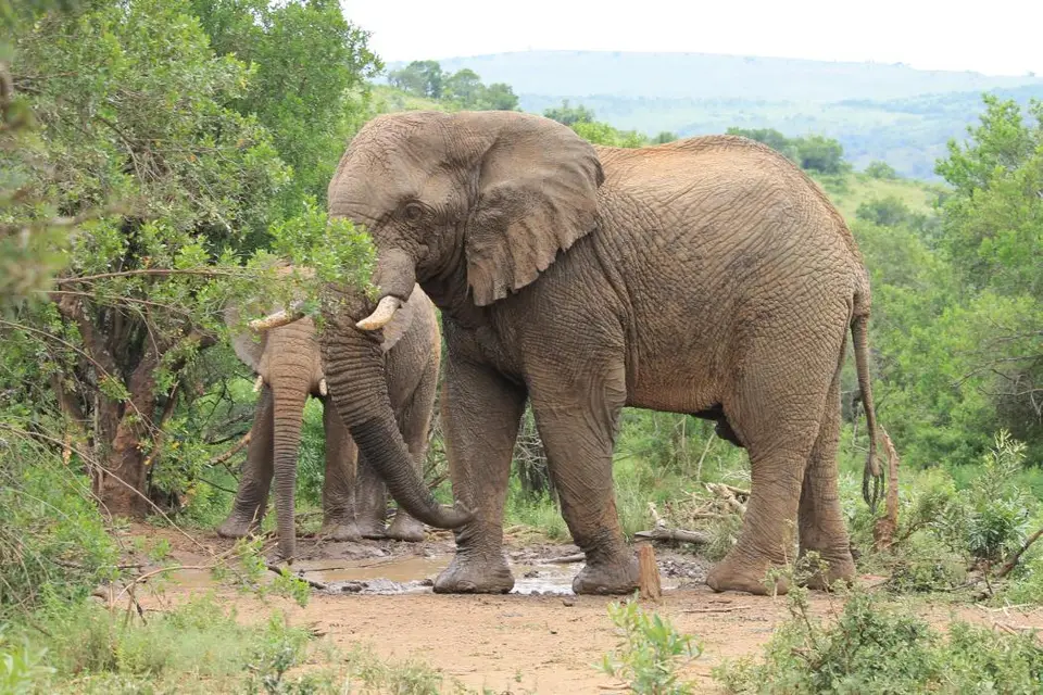 KZN27_(149).jpg