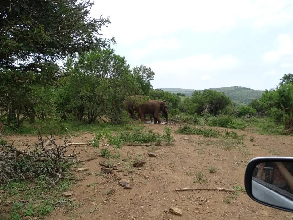 KZN27_(150).jpg