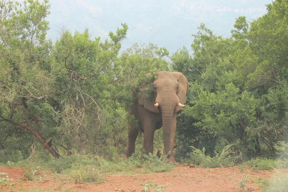 KZN27_(152).jpg